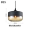 Nordic Pendant Lamp, Modern Glass Hanging LED Light Fixture for Restaurant, Living Room, Bedroom, Indoor Decoration