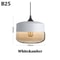 Nordic Pendant Lamp, Modern Glass Hanging LED Light Fixture for Restaurant, Living Room, Bedroom, Indoor Decoration