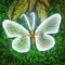 2 Pieces LED Outdoor Simulation Butterfly Lights, Dynamic, Static Holiday Party Decorations for Garden, Wedding, Event