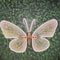 2 Pieces LED Outdoor Simulation Butterfly Lights, Dynamic, Static Holiday Party Decorations for Garden, Wedding, Event
