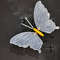 2 Pieces LED Outdoor Simulation Butterfly Lights, Dynamic, Static Holiday Party Decorations for Garden, Wedding, Event