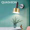 Adjustable Wall Lights Nordic, LED Iron Bedside Wall Lamps for Bedroom, Aisle, Stair, Indoor Lighting Sconce Home Decor