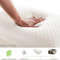 100% Natural Talalay Latex Pillow for Neck Pain, Orthopedic Cervical Support for Side, Back & Stomach Sleepers