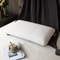 100% Natural Talalay Latex Pillow for Neck Pain, Orthopedic Cervical Support for Side, Back & Stomach Sleepers