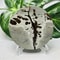 Hand Polished Natural Rock Picture Stone Round Coasters Abstract Spiritual Healing Witchcraft Decor 5