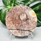 Hand Polished Natural Rock Picture Stone Round Coasters, Abstract Spiritual Healing Witchcraft Decor, Holiday & Home