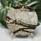 Hand Polished Natural Rock Picture Stone Round Coasters, Abstract Spiritual Healing Witchcraft Decor, Holiday & Home