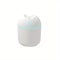 Portable Mini Cup Spray Mist Humidifier Double Wet Essential Oil Diffuser USB Car Air Humidifier Fo 6
