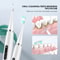 Waterproof Electric Teeth Cleaner Dental Scaler Oral Care Plaque Remover Tartar Scraper Profession 4