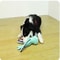 Interactive Dog Pet Plush Octopus Toy with Sound, Durable Anti-Demolition Chew Toy for Home Play, Large & Small Dog Toy