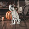 Realistic Halloween Skeleton Dog Posable Spooky Pet Decor For Haunted Yard Party Creepy Skull Bone 2