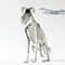 Realistic Halloween Skeleton Dog Posable Spooky Pet Decor For Haunted Yard  Party Creepy Skull Bone 4