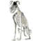 Realistic Halloween Skeleton Dog Posable Spooky Pet Decor For Haunted Yard  Party Creepy Skull Bone 6