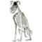 Realistic Halloween Skeleton Dog Posable Spooky Pet Decor For Haunted Yard Party Creepy Skull Bone 6