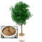 Natural Coconut Fiber Tree Mulch Mat Cover Protector Flower Pot Disc Pad Weed Control Moisture Rete 5