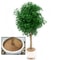 Natural Coconut Fiber Tree Mulch Mat Cover Protector Flower Pot Disc Pad Weed Control Moisture Rete 5