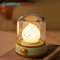 USB Rechargeable Kerosene LED Night Light Cute Flameless Candle Light With Two Modes Dimmable Campi 0