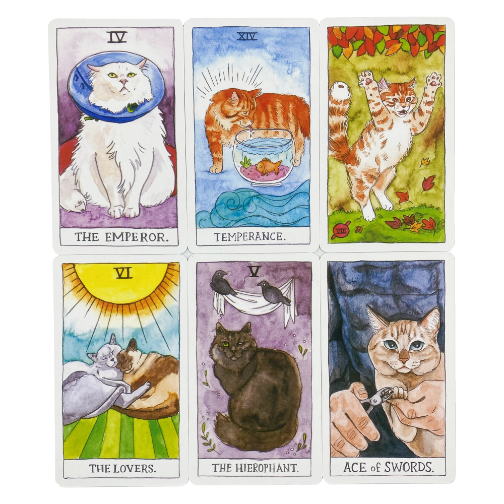 Cute Cat Tarot Cards Deck Oracle English Visions Divination Edition Board Playing Games For Beginne 2
