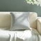 Soft Velvet Gray Cushion Cover SkinFriendly Pillowcase For Modern Sofa Living Room Decoration Throw 1