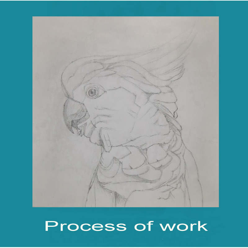 Розовый какаду (4).png