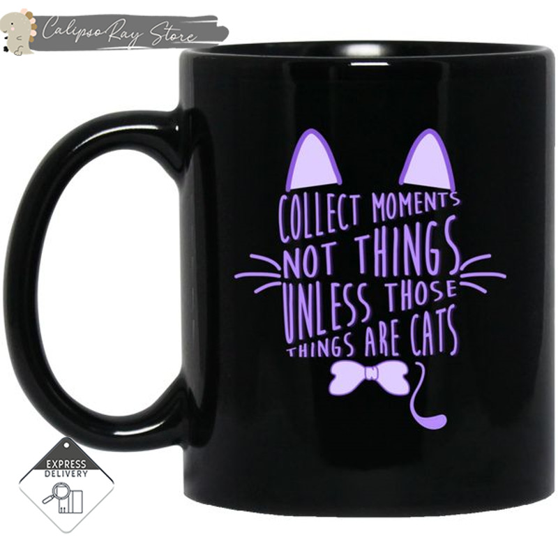 Collect Moments Not Things Cat Mugs.jpg