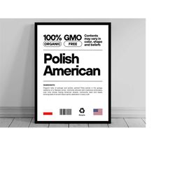 polish american unity flag poster | mid century modern | american melting pot | rustic charming polish humor | us patrio