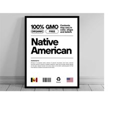 native american unity flag poster | mid century modern | american melting pot | rustic charming native american humor |