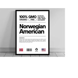 norwegian american unity flag poster | mid century modern | american melting pot | rustic charming norwegian humor | us
