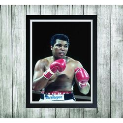 posters & prints muhammad ali cassius clay boxing