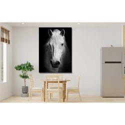 white horse's head poster print, animal poster, horse's