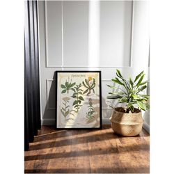 framed herbology medicinal plant canvas wall art, magic