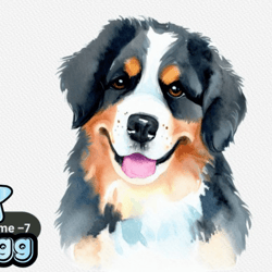 Bernese Mountain Dog Watercolor Clipart Design 99