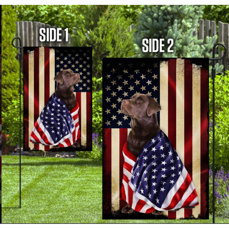 my-image-1.jpeg