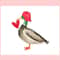 Valentine Mallard Duck Funny Animal PNG.jpg