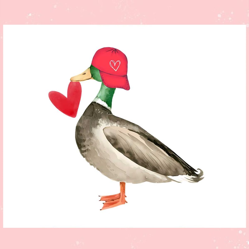 Valentine Mallard Duck Funny Animal PNG.jpg