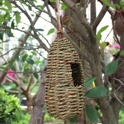 Hanging Bird House Pastoral Style Birdhouse