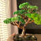 Lifelike-Bonsai-Tree-Sculpture.jpeg
