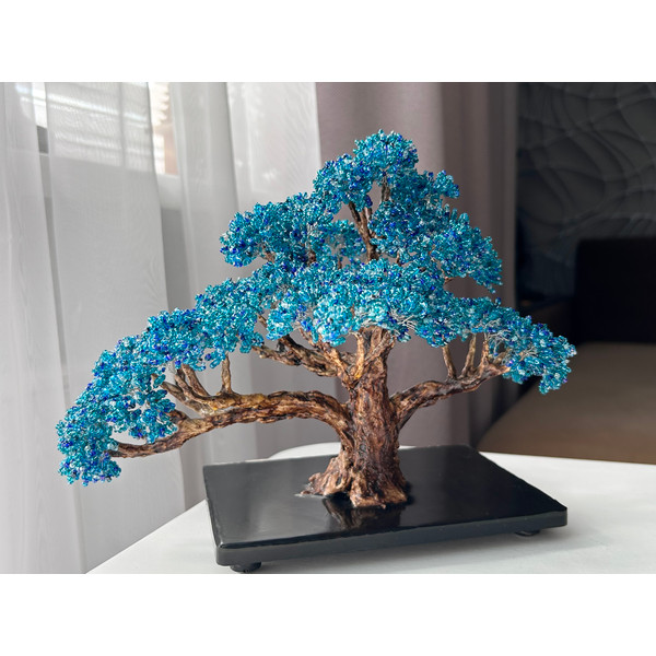 Indoor-blue-bonsai-tree.jpeg