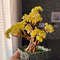Yellow-bonsai-tree.jpeg