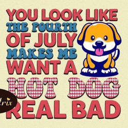 4th of july hot dog quote sublimation design 128