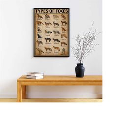 types of foxes poster, fox lover gift, fox