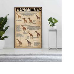 types of giraffes vintage poster, giraffe lover gift,