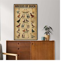 breeds of duck poster, duck lover gift, pig