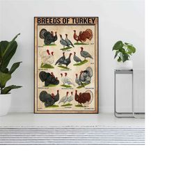 breeds of turkey poster, turkey lover gift, turkey
