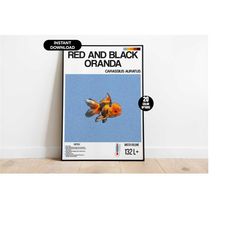 aquarium fish poster, red and black oranda aquarium