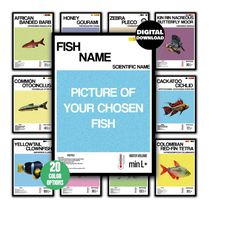 custom fish poster, choose your own fish poster,