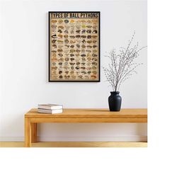types of ball pythons poster, ball python lover