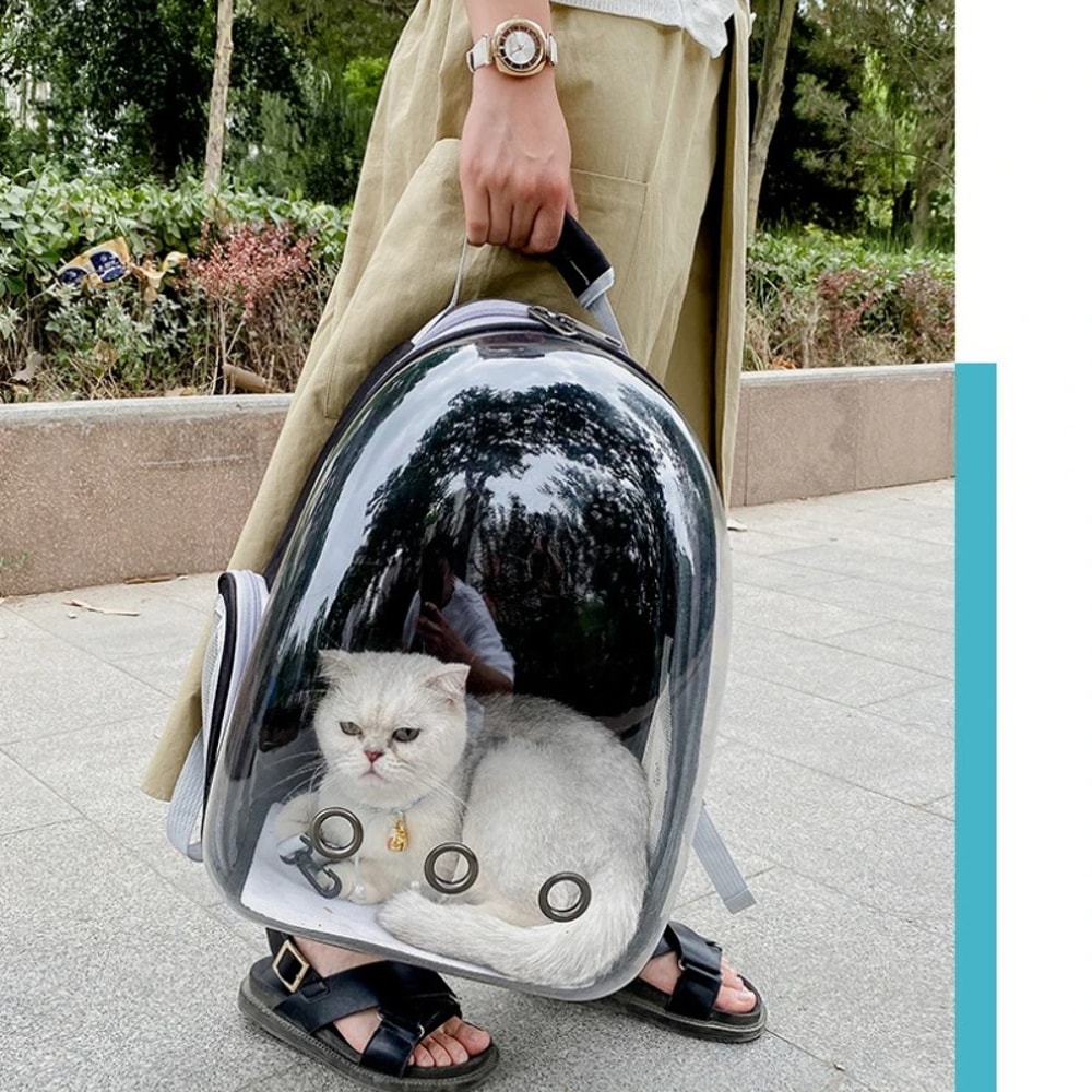 Transparent SpaceCapsule Pet Backpack Carrier Foldable Lightweight Travel Backpack For Cats And Dog 2