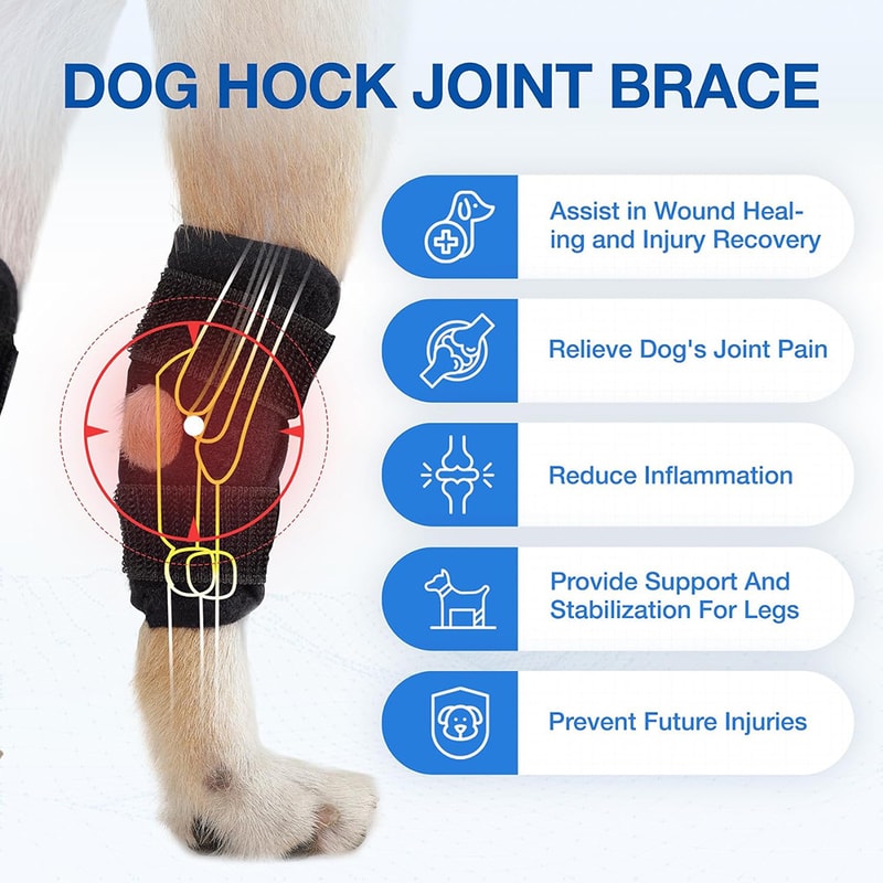Dogs Knee Pads Leg Support Brace Arthritis Protector Covers Hock Joint Wrap Injury Recovery Supplie 2