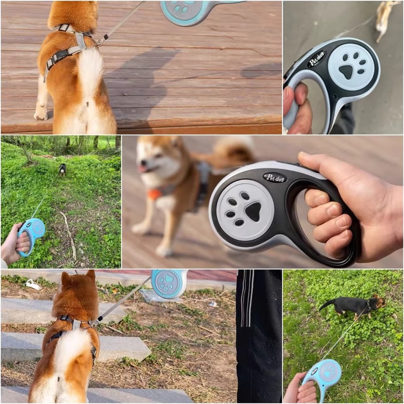 Retractable Nylon Pet Dog Leash for Small Medium Dogs Cats Hiking